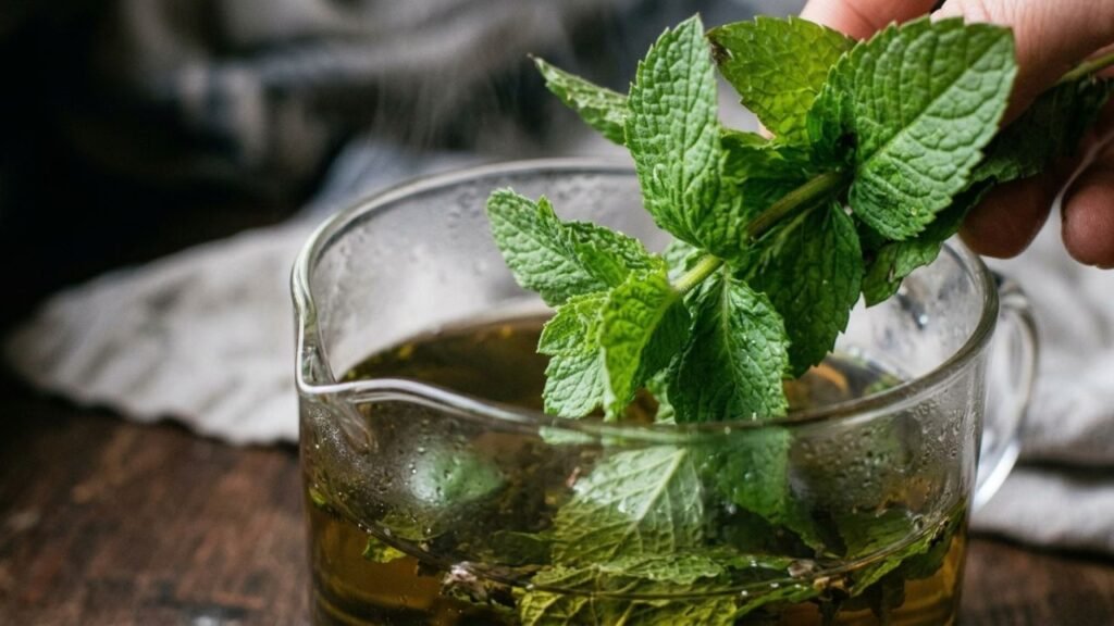 Fresh mint leaves steeping in warm green tea with light steam.
